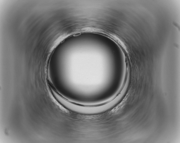 X0000096461381200802071824