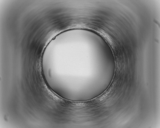 X0000096461382200802071824
