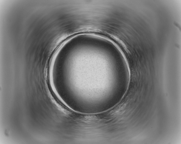 X0000096461383200802071824
