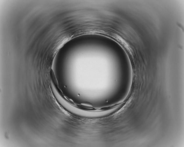 X0000096461385200802071824