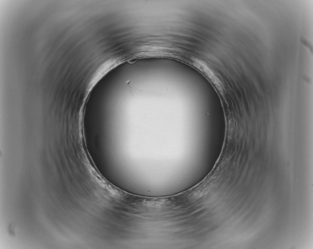 X0000096461386200802071824