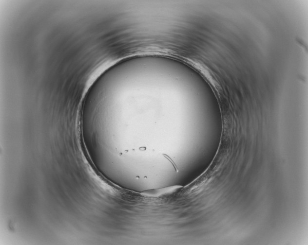 X0000096461387200802071824