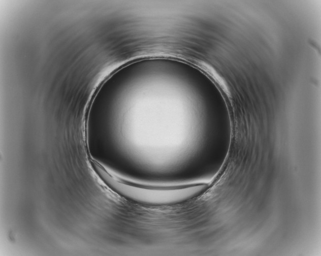 X0000096461388200802071824