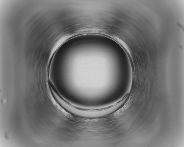 X0000096461389200802071824