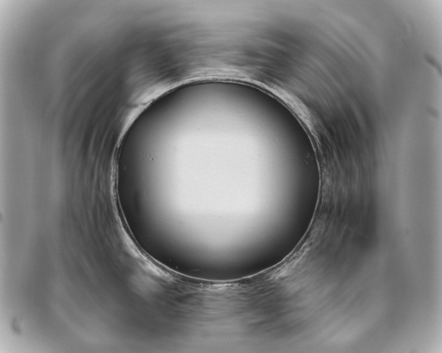 X0000096461390200802071824