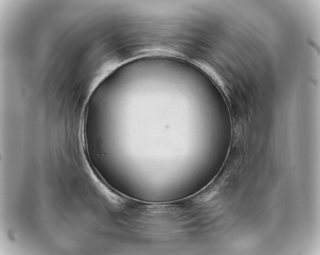 X0000096461391200802071824