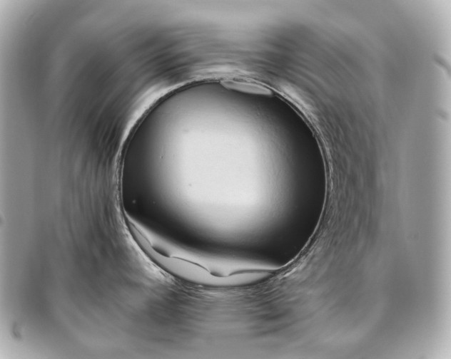 X0000096461392200802071824
