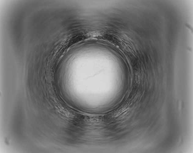 X0000096461393200802071824