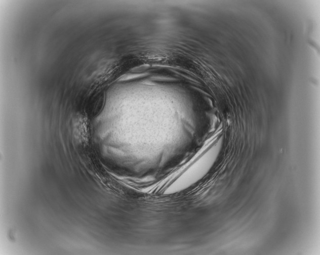 X0000096461394200802071824