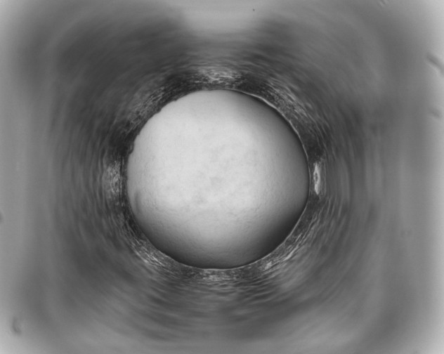 X0000096461395200802071824