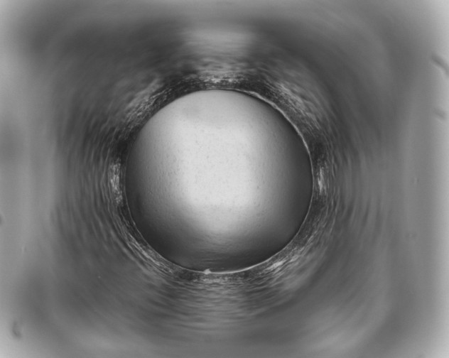 X0000096461396200802071824