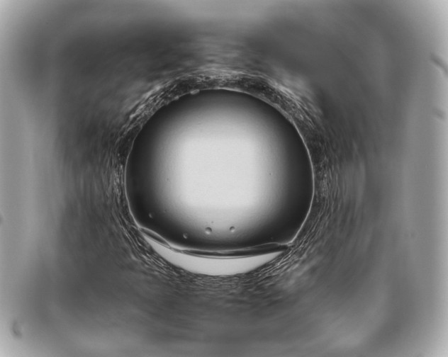 X0000096461397200802071824
