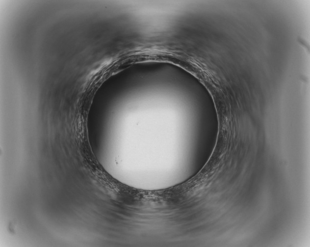 X0000096461398200802071824
