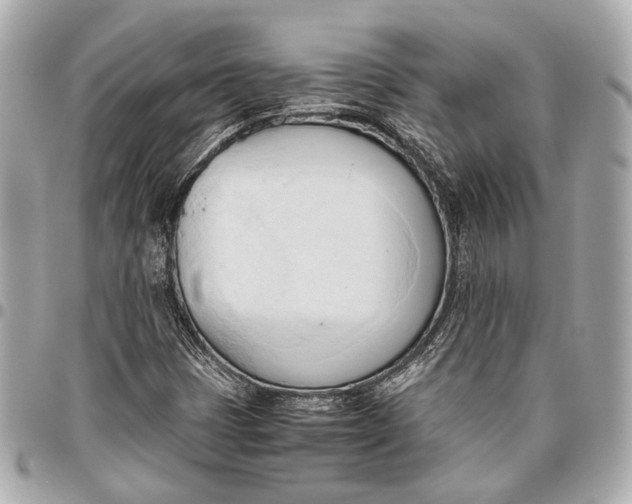 X0000096461401200802071824