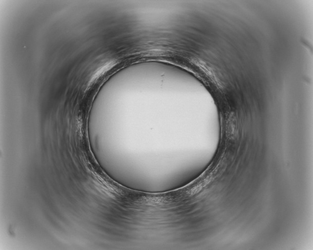 X0000096461402200802071824
