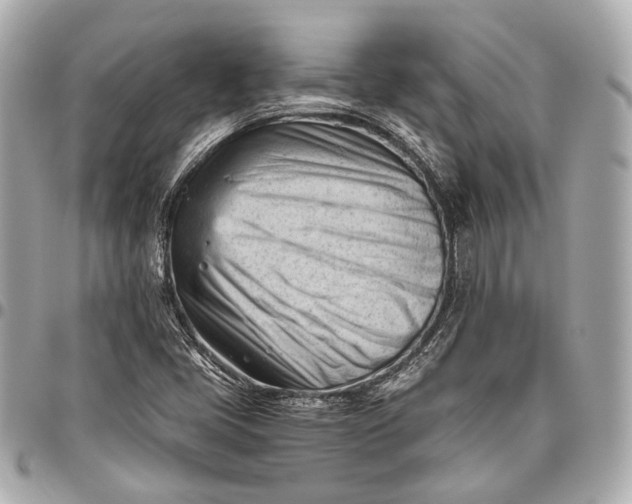 X0000096461405200802071824