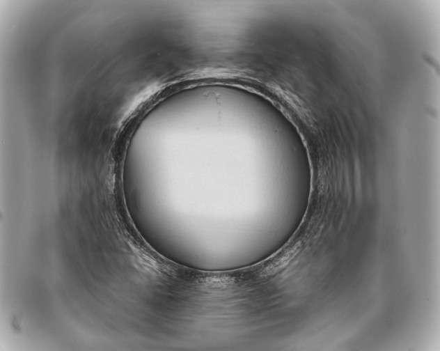 X0000096461406200802071824