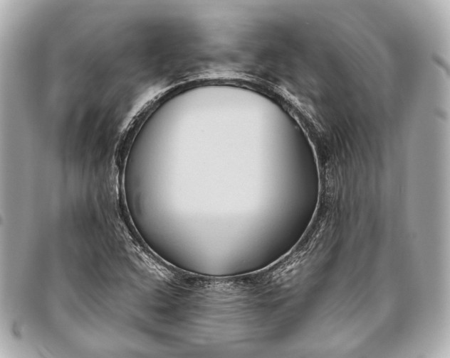 X0000096461408200802071824