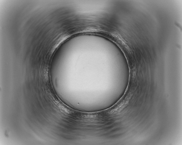 X0000096461409200802071824