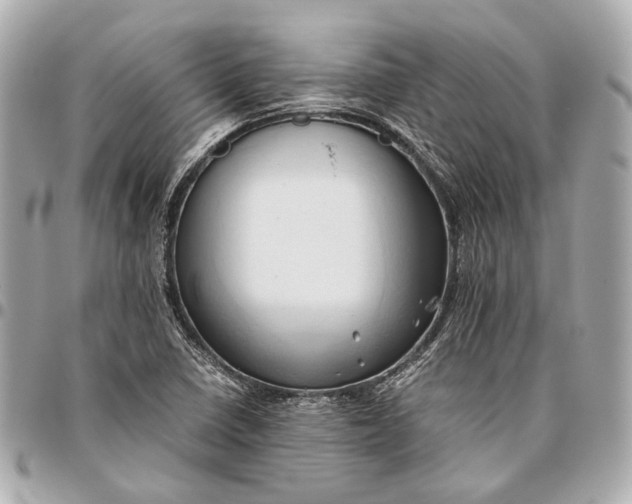 X0000096461410200802071824