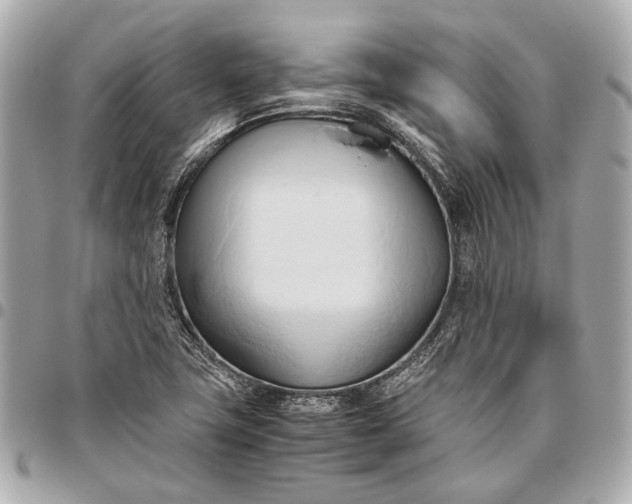 X0000096461411200802071824