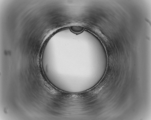 X0000096461412200802071824