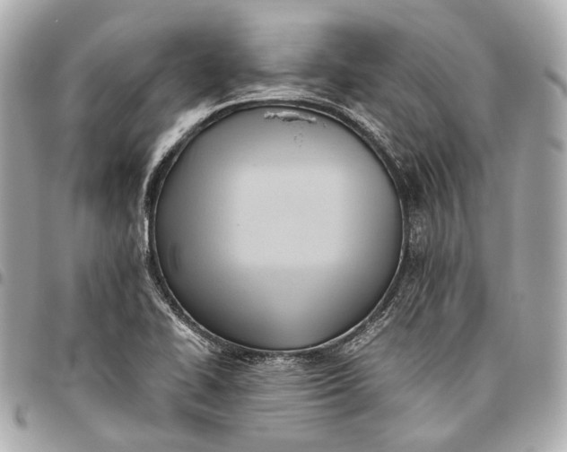 X0000096461414200802071824