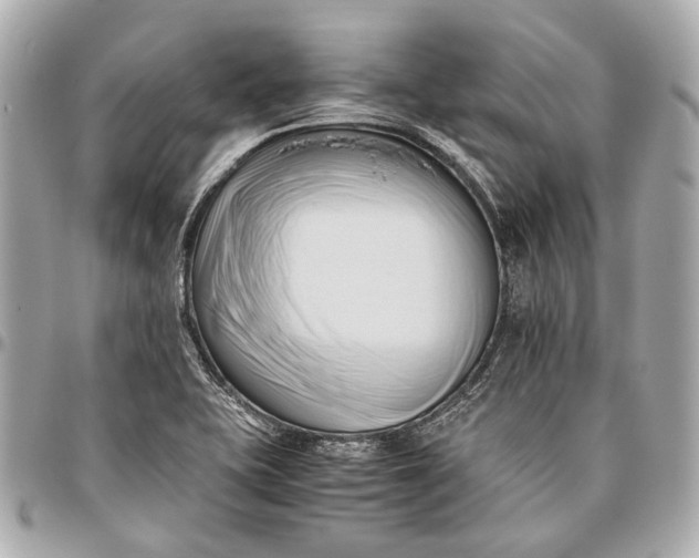 X0000096461415200802071824