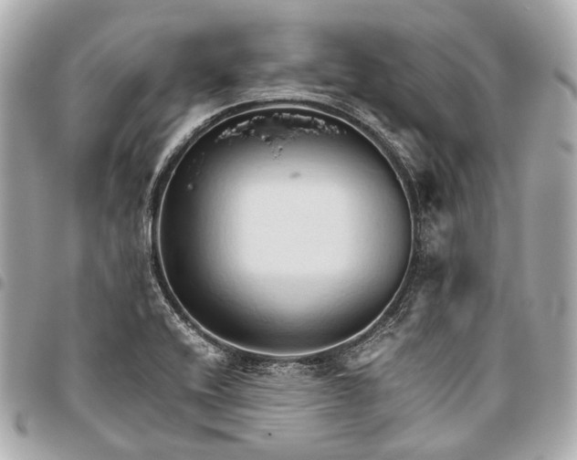 X0000096461416200802071824