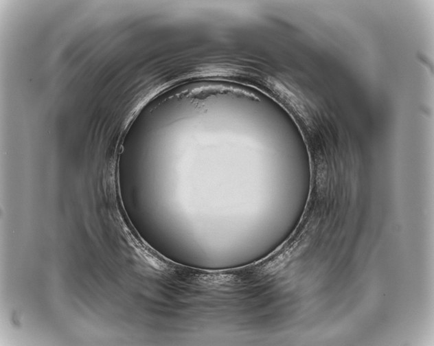 X0000096461417200802071824