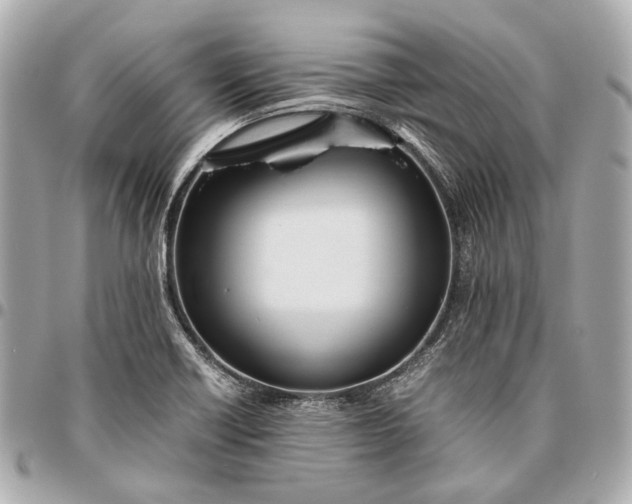X0000096461418200802071824