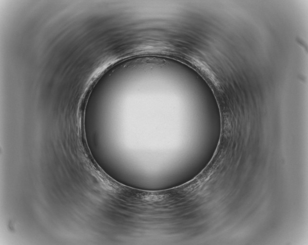 X0000096461419200802071824