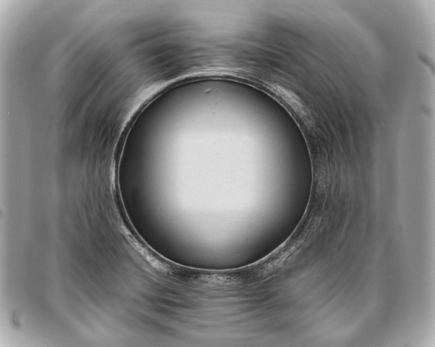 X0000096461420200802071824