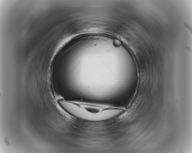 X0000096461421200802071824