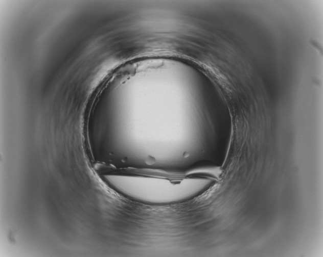 X0000096461422200802071824