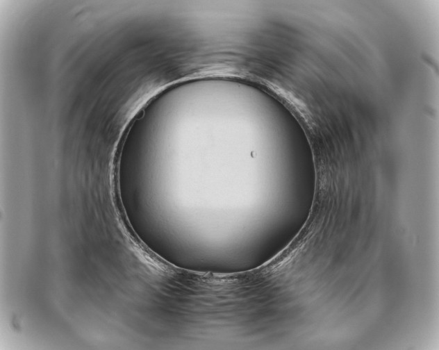 X0000096461423200802071824