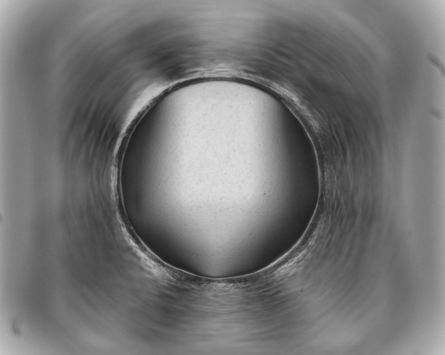 X0000096461424200802071824