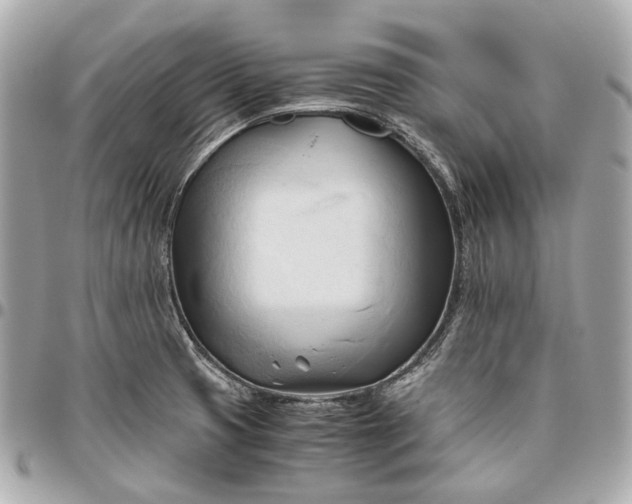 X0000096461425200802071824