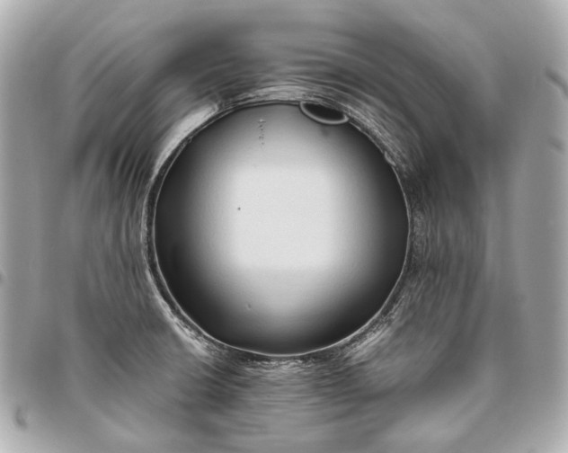 X0000096461426200802071824