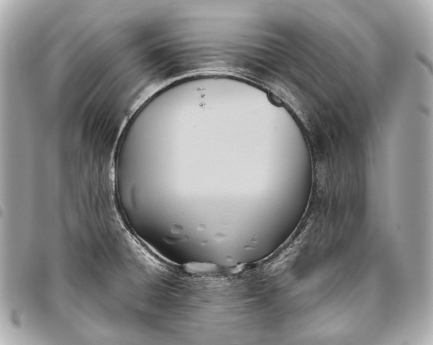 X0000096461428200802071824