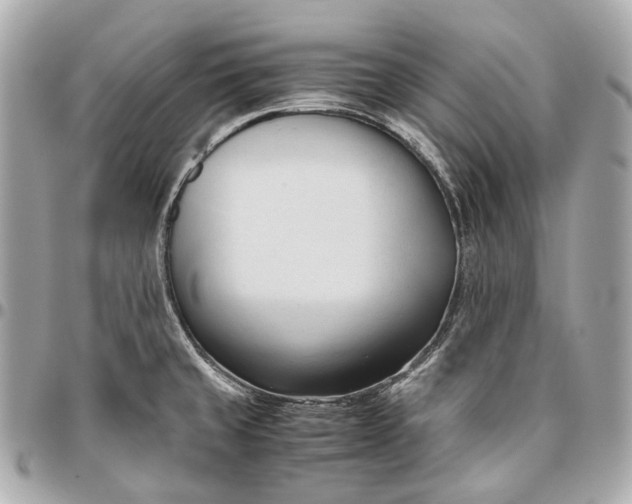 X0000096461429200802071824