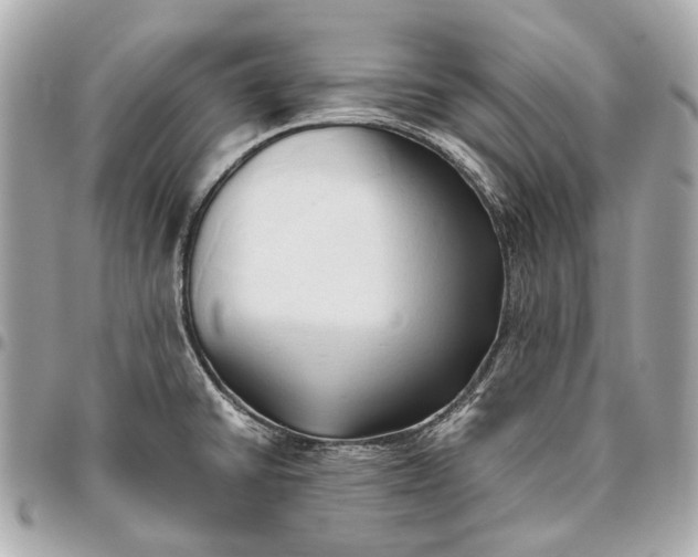 X0000096461430200802071824
