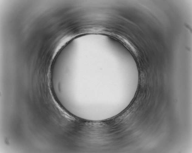 X0000096461432200802071824