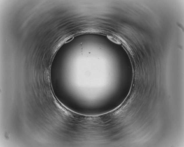 X0000096461433200802071824