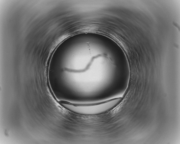 X0000096461434200802071824