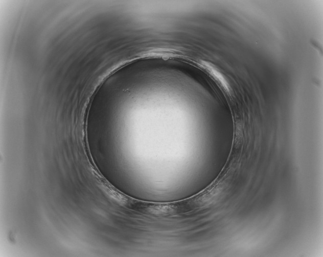 X0000096461435200802071824