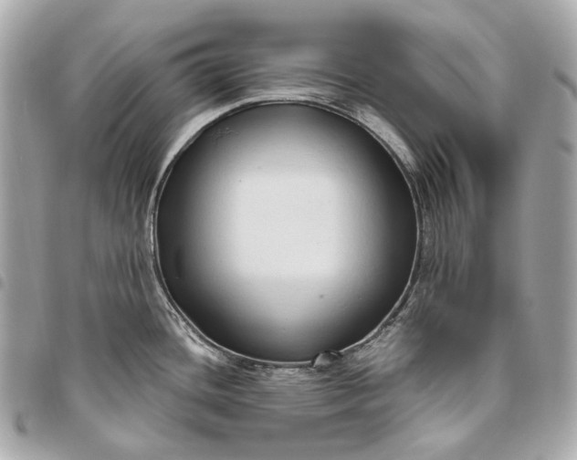 X0000096461436200802071824