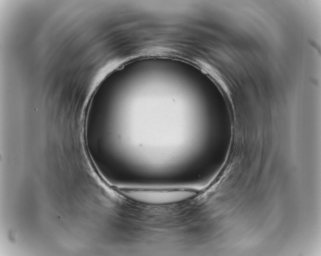 X0000096461437200802071824