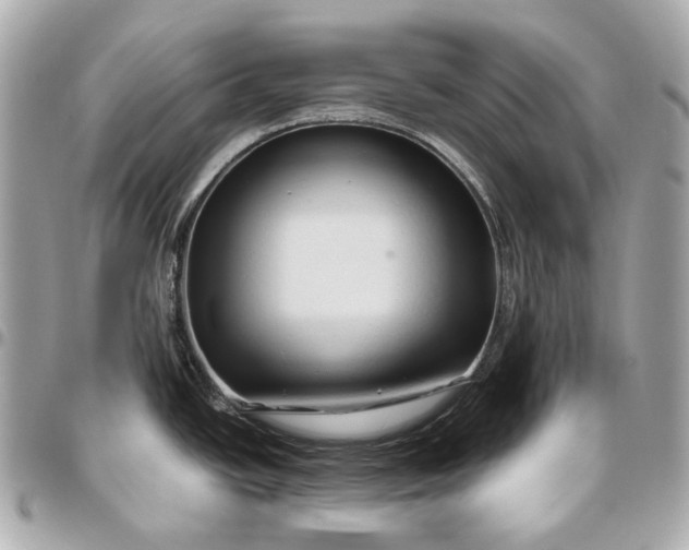 X0000096461438200802071824