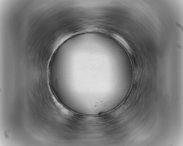X0000096461439200802071824